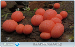 0_10736e_721a25a2_orig.png