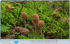 0_110877_ea812b38_orig.png