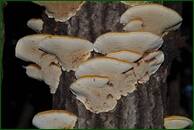 0_ecfb7_59243cd6_orig.jpg