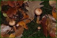 0_ef758_29695120_orig.jpg
