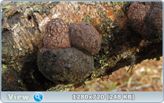 0_10381f_25c19846_orig.png