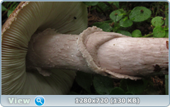 0_10dd6e_747c752b_orig.png