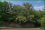 0_ecfcf_4788c024_orig.jpg