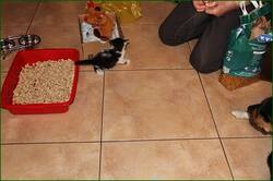 0_1213f9_63169d68_orig.jpg