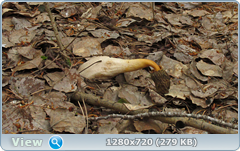 0_105fc2_a08a9573_orig.png