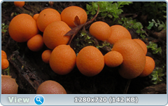 0_107397_e949bbdf_orig.png