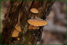 0_f5808_3709b456_orig.jpg