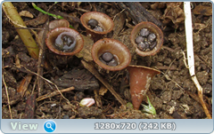 0_113404_e44218e8_orig.png