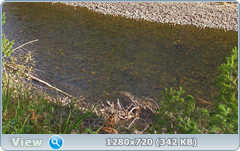0_113409_a1ccfa69_orig.png