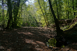 0_d8957_564ef120_orig.png