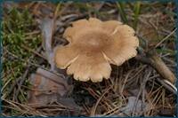 0_d5dc1_91123e73_orig.jpg