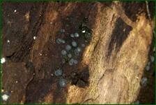 0_fc7cc_3405a888_orig.jpg