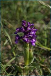 0_cd223_6eb231a6_orig.jpg