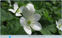 0_e3792_f519c584_orig.png