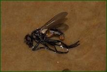 0_ebebc_4f7490a1_orig.jpg