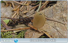 0_101ebf_45d1856d_orig.png