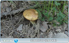 0_107e4f_8d196f89_orig.png
