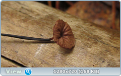 0_1150b0_eb5920dc_orig.png