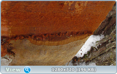 0_1162a2_2a266aca_orig.png