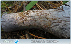 0_ec129_fb132024_orig.png