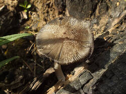 0_e3638_ab082bec_M.jpg