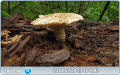 0_e6cff_8cc64b7d_orig.png