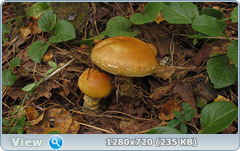 0_efe17_15e0be50_orig.png