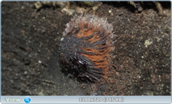 0_e3530_35206818_orig.png