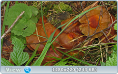 0_e6b95_25be483b_orig.png