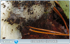 0_e90c8_f21ec83a_orig.png