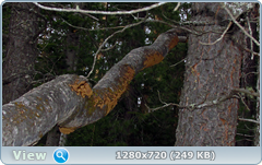 0_f569e_f600d439_orig.png