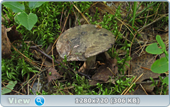 0_fb913_95131ef3_orig.png