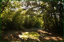 0_fcd40_5706e530_orig.jpg