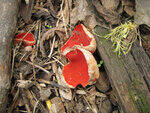 0_87f90_6558d33b_S.jpg