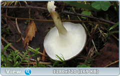 0_ea413_401a7883_orig.png