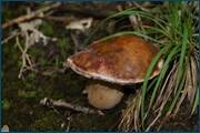 0_d2a82_c283294a_orig.jpg