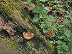 0_88557_c9b8eced_S.jpg