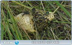 0_edacb_49016a1a_orig.png