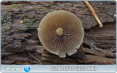 0_f3041_1f506957_orig.png