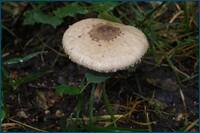 0_d5e6b_1860ad27_orig.jpg