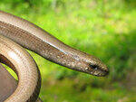 0_9330d_448cd08e_S.jpg
