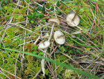0_8deb6_3490c6ca_S.jpg