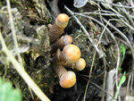 0_8cbfd_5d2573b3_S.jpg