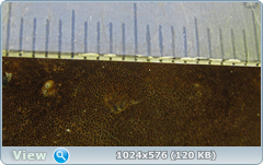 0_127f56_422314e3_orig.png