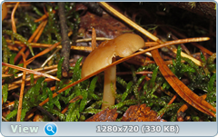 0_e6a0c_456437a0_orig.png