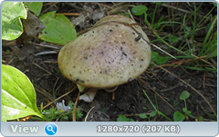 0_eaaa8_b88921fc_orig.png