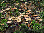 0_8bb7c_904dbc33_S.jpg