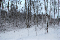 0_1130dc_81112122_orig.png