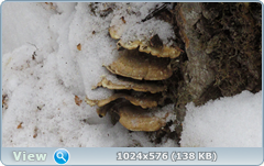 0_11f0de_a34f585c_orig.png