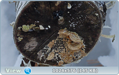 0_11f0ec_217577dc_orig.png
